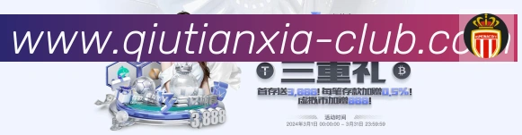 互动解说服务